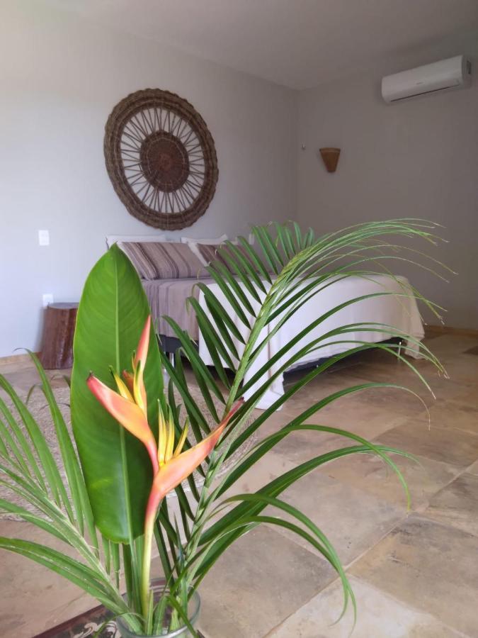 Dolce Vita Guest House 拉戈伊尼亚 外观 照片